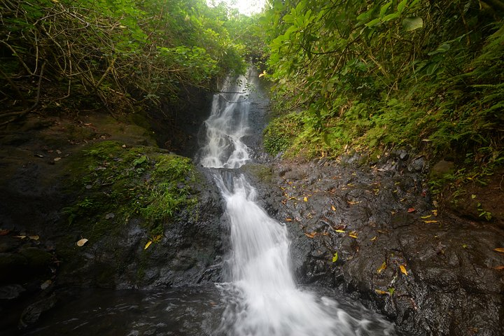 Optional Hike Ko'olau Waterfall hike 